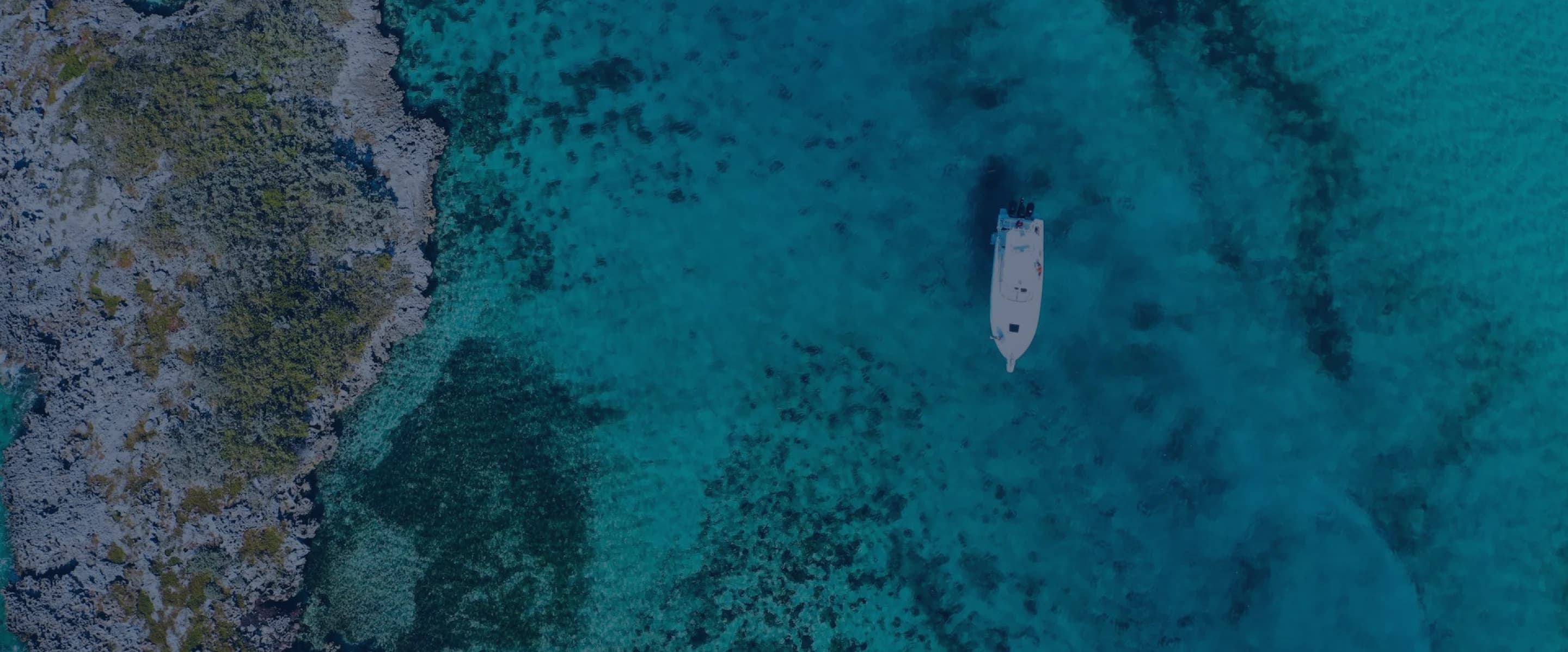 Built From Background