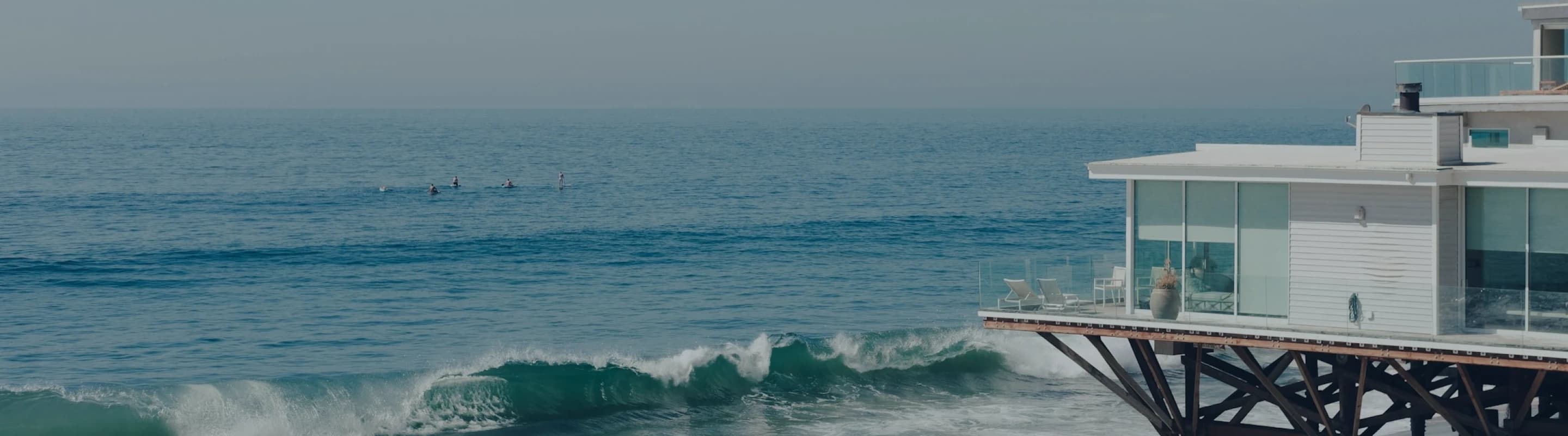 Terms And Conditions