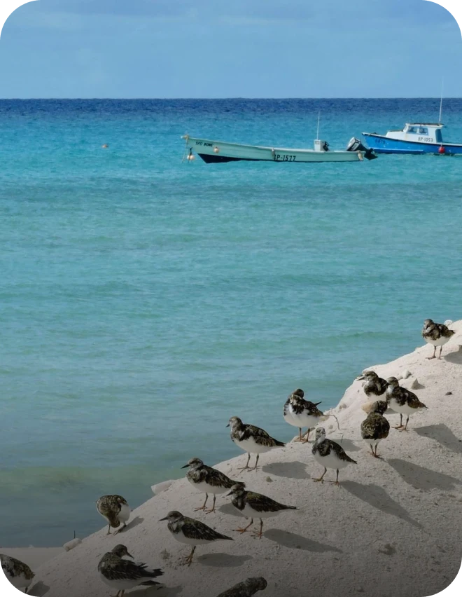 Barbados